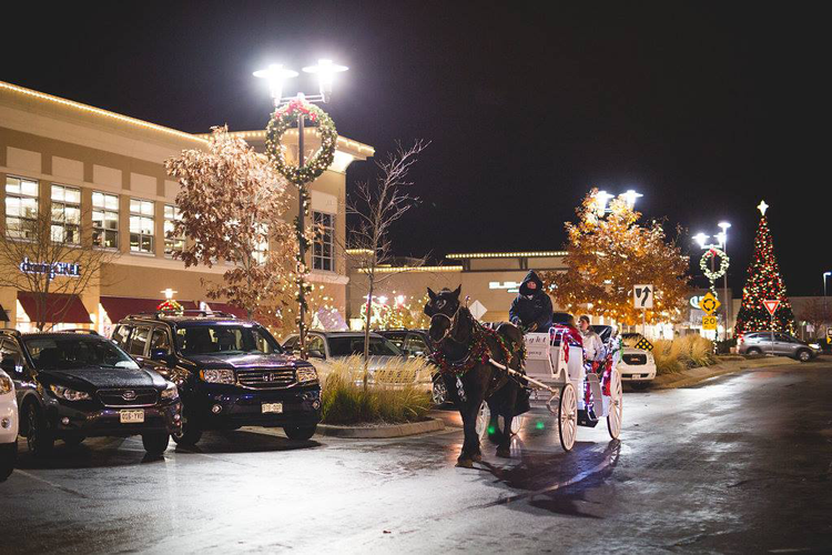 The Best Fort Collins Locations to See Christmas Lights