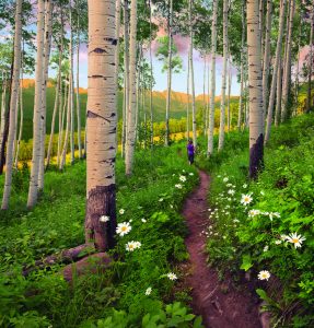Berry-Picker-Trail-Vail-Colorado1-980x1024