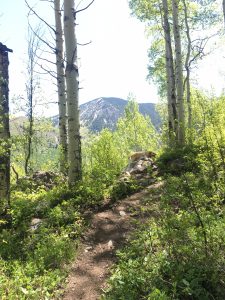 East Lake Creek