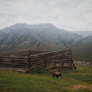 Meadow Mountain
