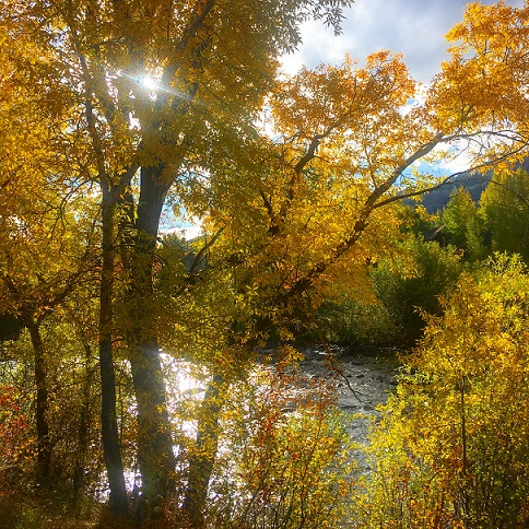Carling. miller ranch open space