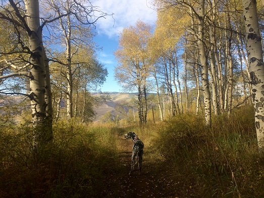 Arrowhead, CO