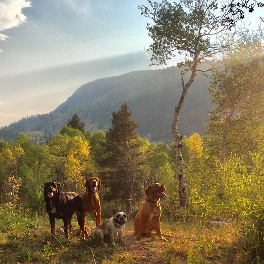 Cross Creek, Minturn