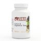 Colon & Digestive Tract Colon & Digestive Tract