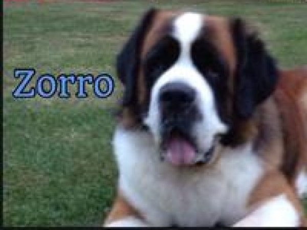 Aazorro