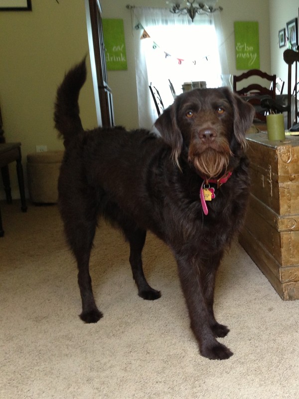 Coco