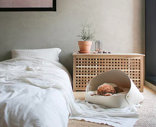 High-End Dog Furniture Is Having a Moment