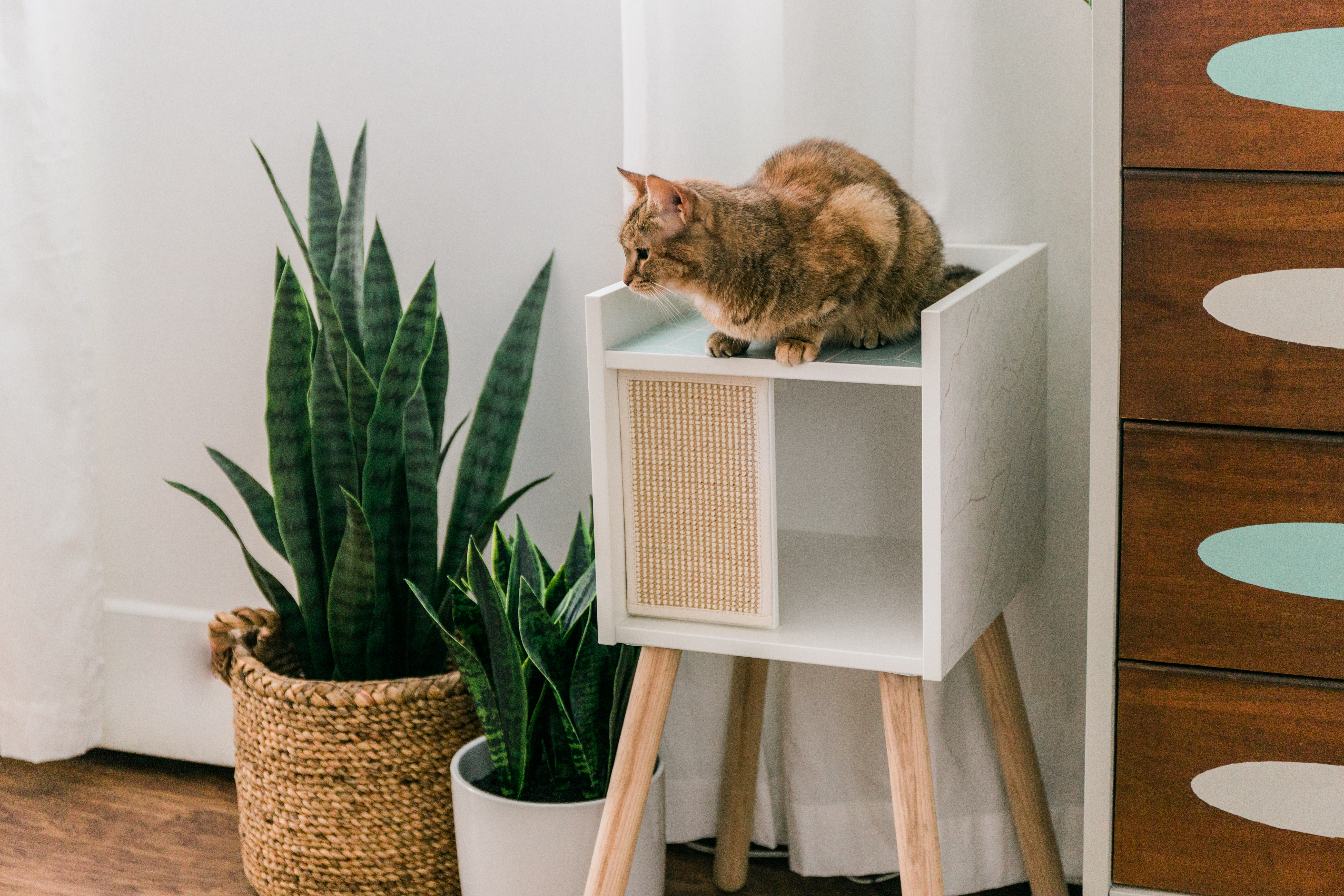 We LURVE the IKEA Lurvig Cat House, Especially With These Cute Upgrades