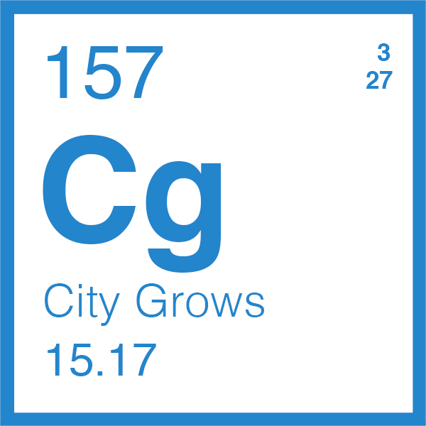 City Grows: The Quest to Modernize Local Government City Grows: The Quest to Modernize Local Government