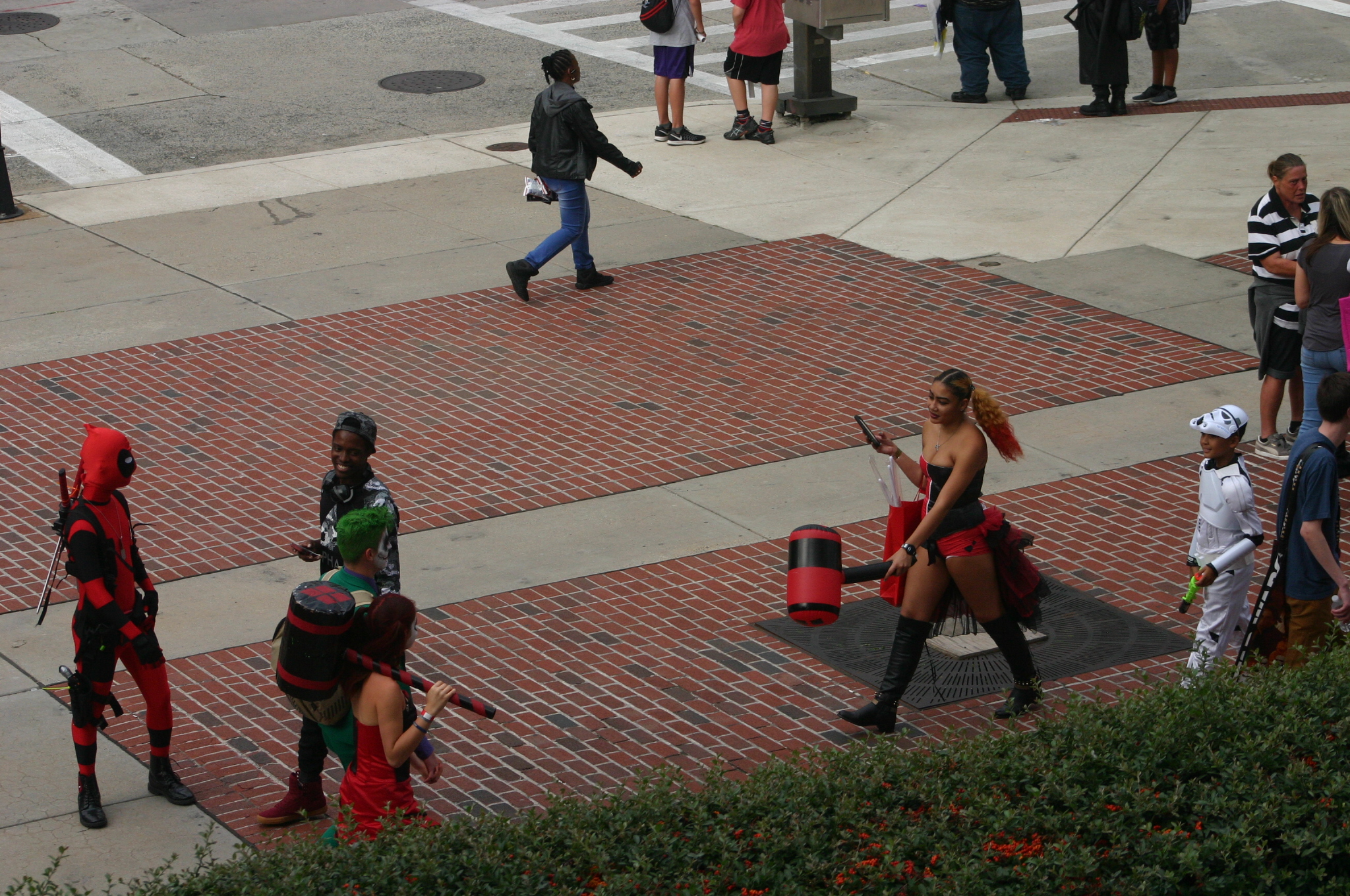 Gang of Harleys?