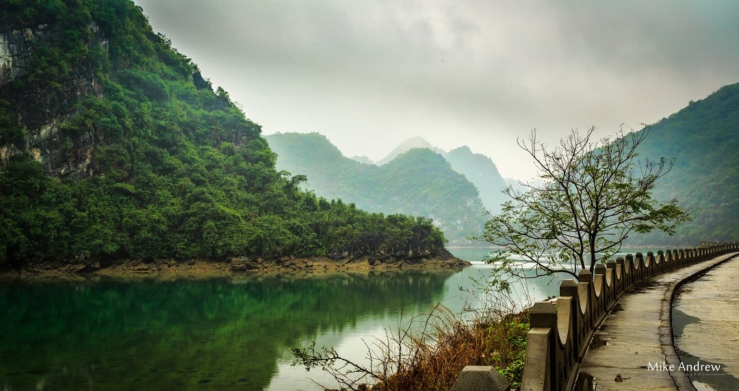 cat-ba-island-halong-bay-north-vietnam