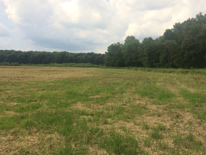 Illinois Farms for Sale