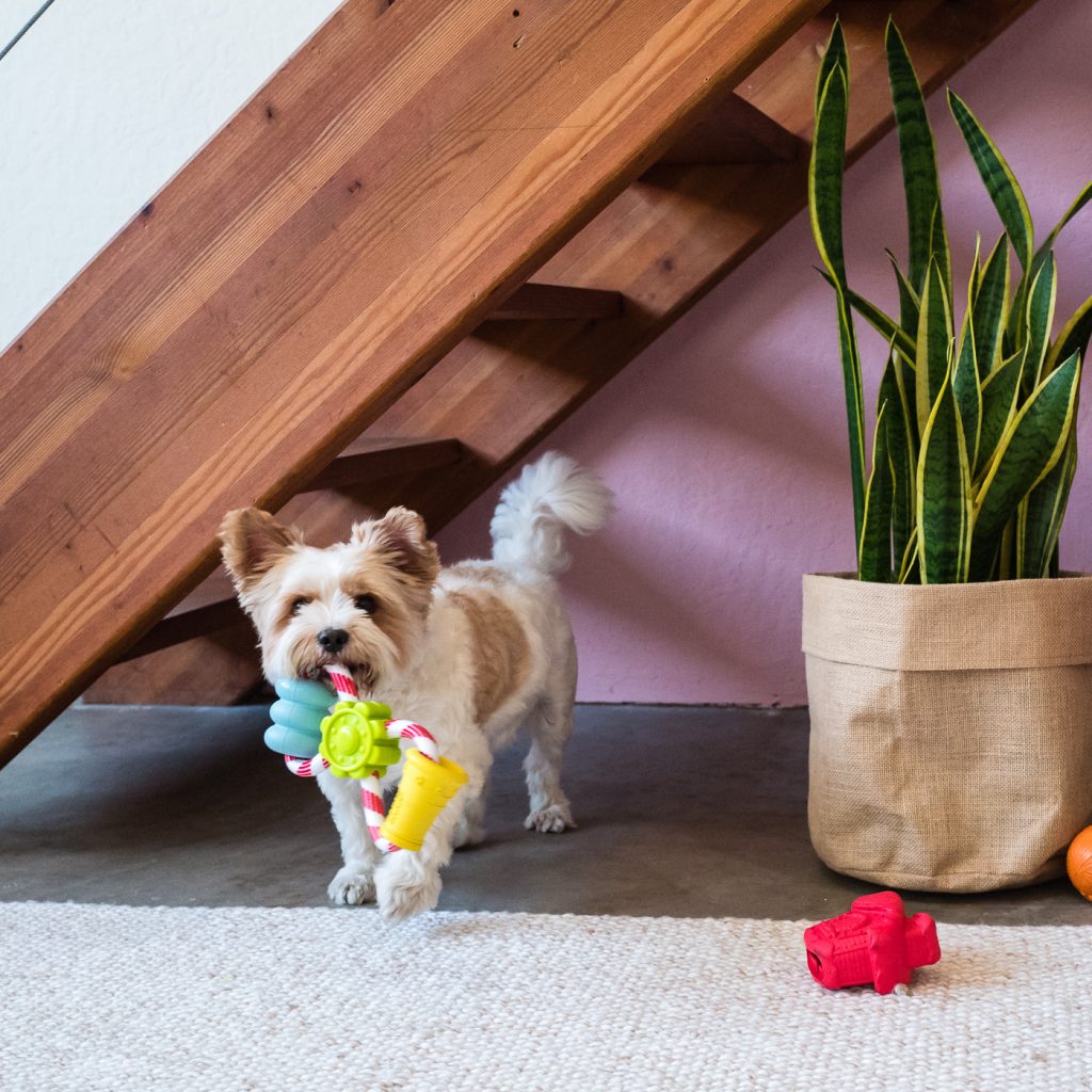super chewer grinch box