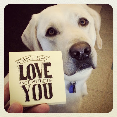 Sweet photo of Griff looking adoringly at the camera with one of JR's post-its that reads "Can't say love, not without you." Sweet photo of Griff looking adoringly at the camera with one of JR's post-its that reads "Can't say love, not without you."