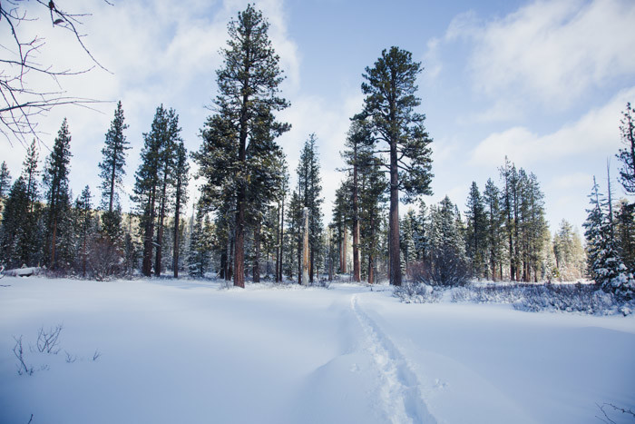 thanksgiving-tahoe-hither-and-thither-13