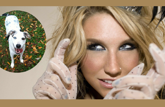 Ke$ha pic