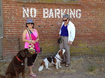 @mizstarryeyed @c8nhogarth + dogs <span>&copy;  </span>