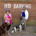 @mizstarryeyed @c8nhogarth + dogs