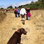 Pt. Reyes TweetUp <span>&copy; @mizstarreyed </span>
