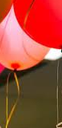 Services b day Services