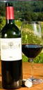 Services wine Services
