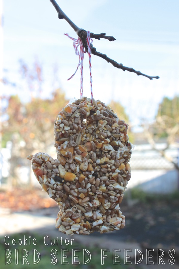 cookie cutter bird seed feeders a toddler friendly method cookie cutter bird seed feeders a toddler friendly method