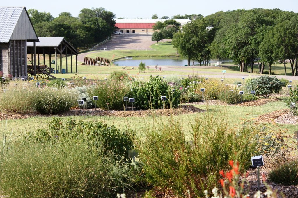 A Walk in the Park presented by Collin County Master Gardeners