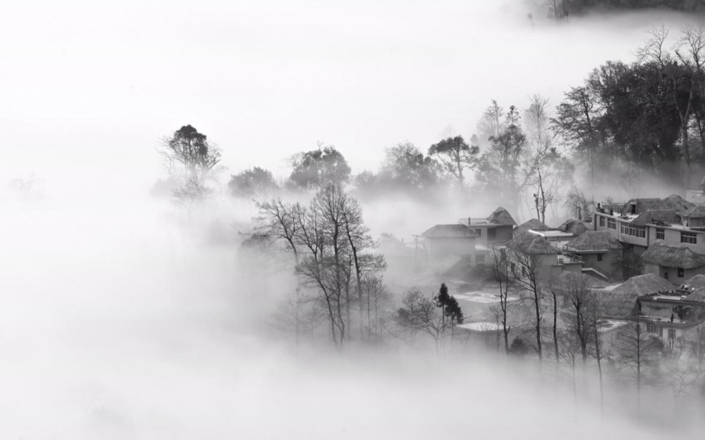 David Liu of Yunnan, China, Asian art exhibition in Plano Asian heritage month Asiafest 2016 Photography black and white David Liu China trees in mist Asian art