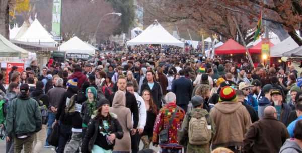Emerald Cup