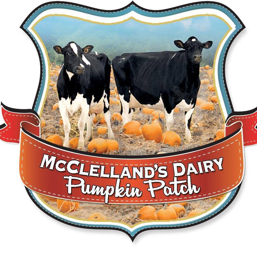 image of McClellens Dairy Pumpkin Patch