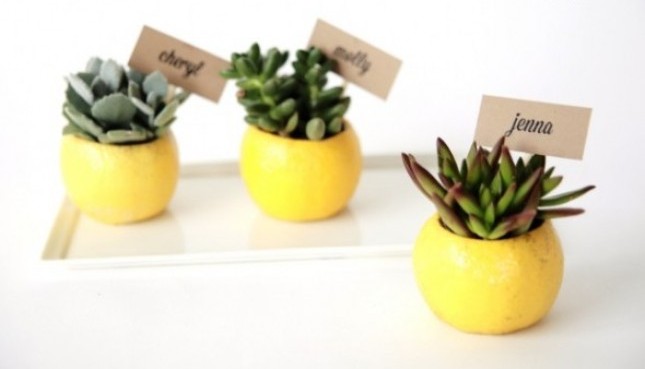 Thanksgiving Table Decorations