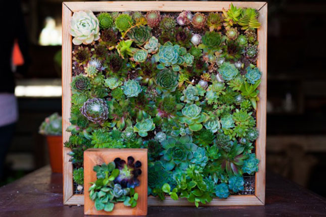Vertical Garden Wall Hanging : Crunched for space? Put the outdoors ...