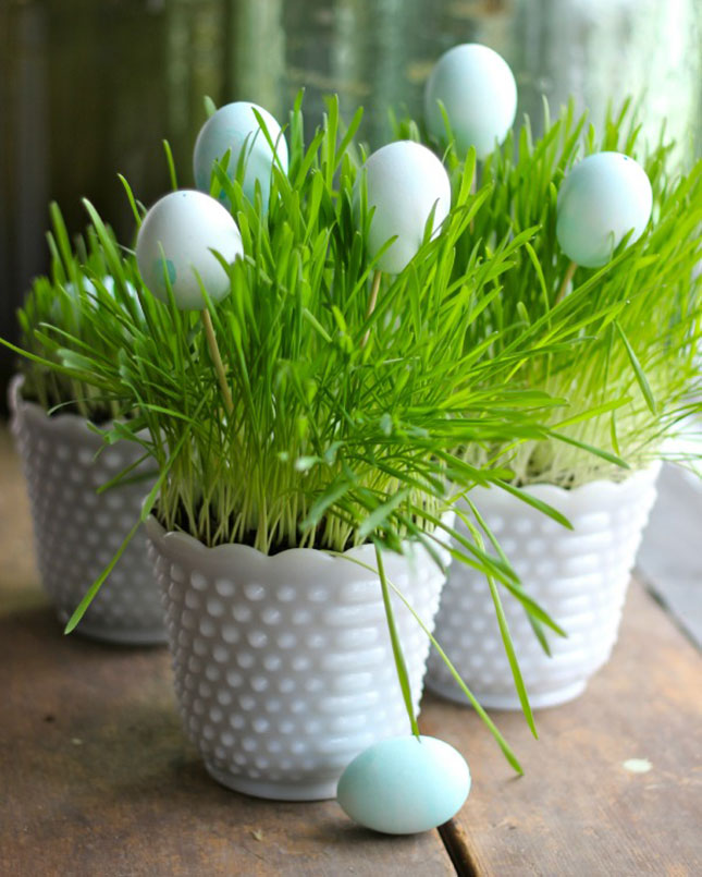 1-Eggs