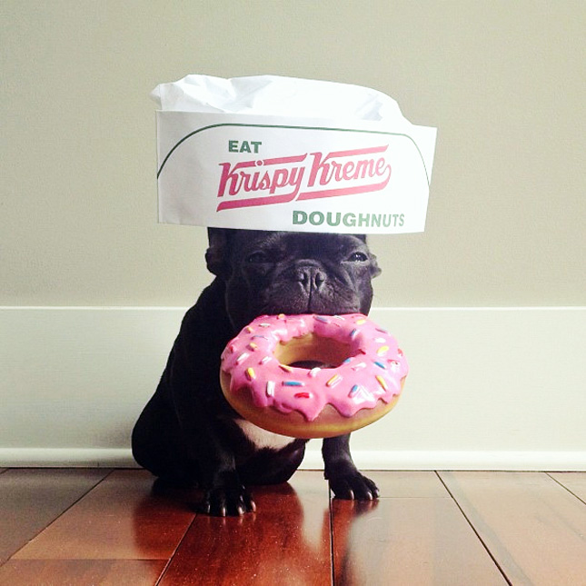 89-Donut