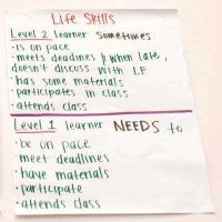 Worksheet with Life Skills definitions at Levels 1 and 2 including attendance, meeting deadlines and others