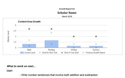 Chart showing mastery level of a particular student across subjects