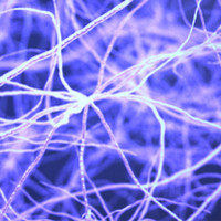image: neurons