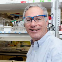 Portrait of Nate Lewis, the George L. Argyros Professor of Chemistry.