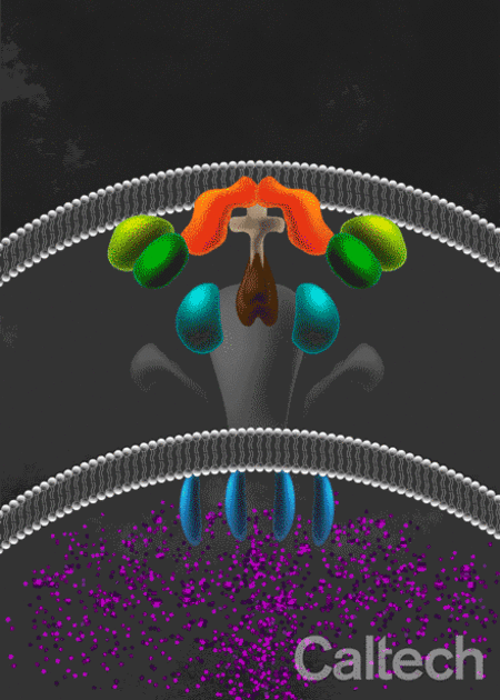 Animated gif of an artist's rendition of a cellular machine spewing toxic molecules.