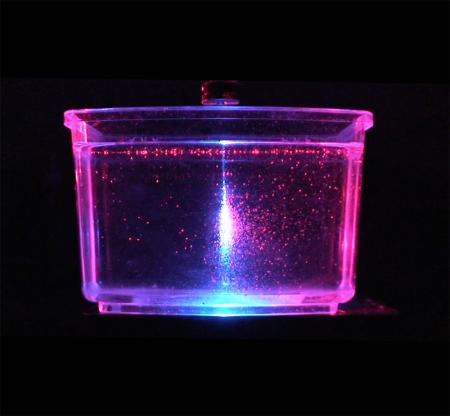 swimming sea monkeys reveal