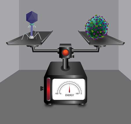 Two viruses on a scale