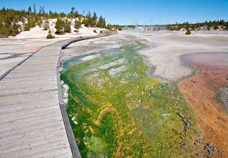Bacterial mats