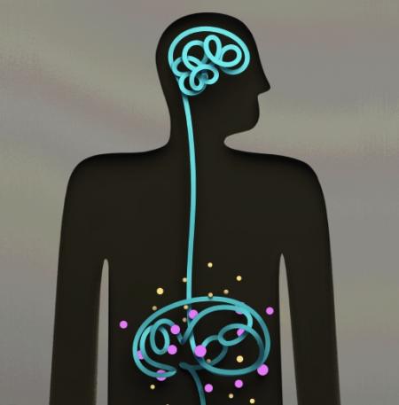 Probiotic Therapy Alleviates Autism >> Probiotic Therapy Alleviates Autism Like Behaviors In Mice Caltech Probiotic Therapy Alleviates Autism >> Probiotic Therapy Alleviates Autism Like Behaviors In Mice Caltech