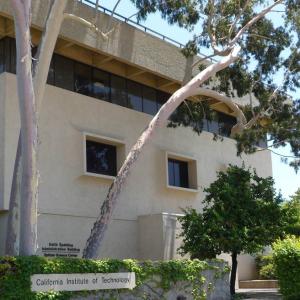 Contact Caltech Space Challenge