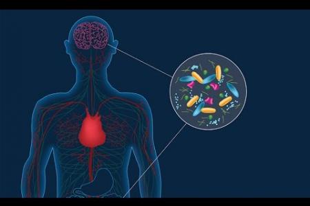 Caltech Researchers Link Parkinson’s Disease to Gut Bacteria