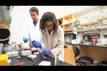 Caltech Collaboration Yields 3D View of Bacterial Infection