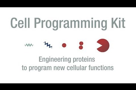 Cell Programming Kit - Elowitz Lab