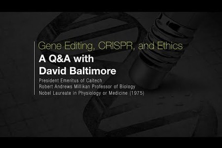 Gene Editing and Ethics: A Q&A with David Baltimore