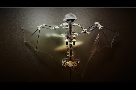 Advanced Robotic Bat Can Fly Like the Real Thing