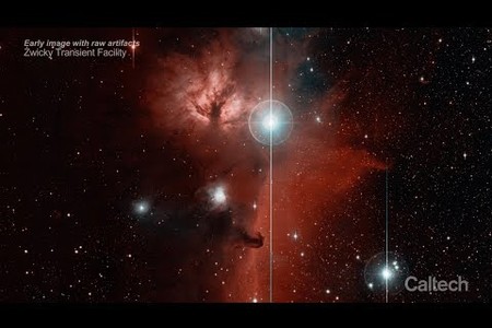 Zwicky Transient Facility Opens Its Eyes to the Volatile Cosmos